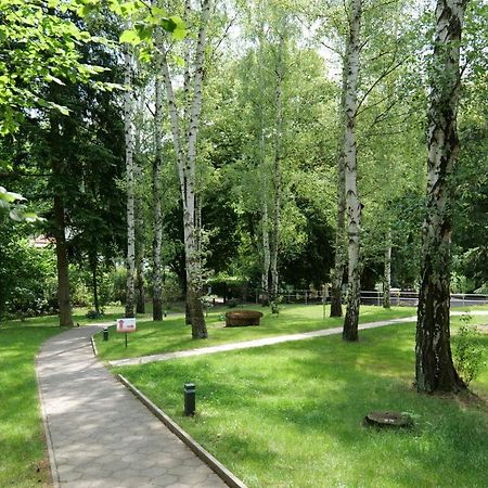 Penzion Harmony Javornik Ctyrkoly Bagian luar foto